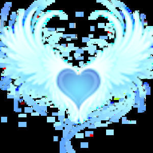 Meet your Posher, Leo